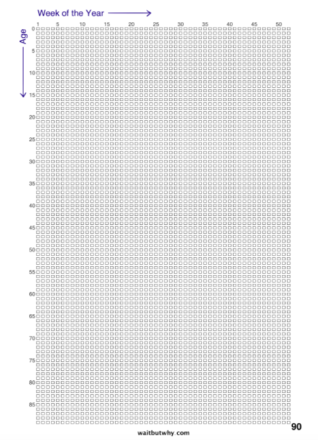 90-year-timeline